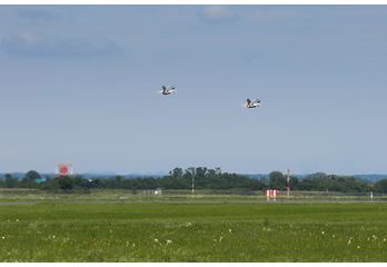 P87C7465.jpg