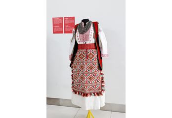 6G7A5370.jpg